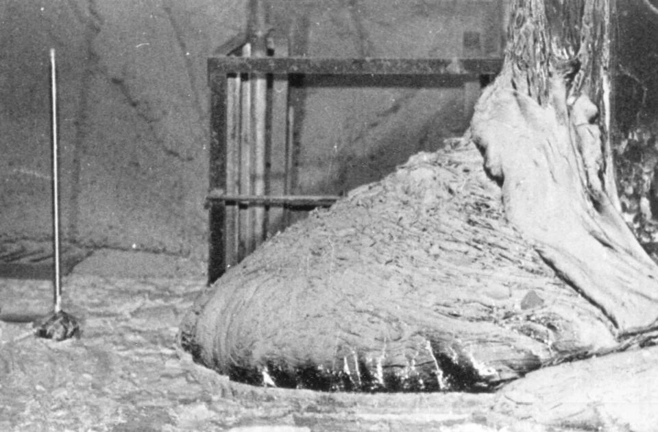 The Elephant’s Foot beside the wall of room 217/2. The archive associates the photograph with the Kurchatov Institute and ISTC Shelter, but gives no photographer or date.