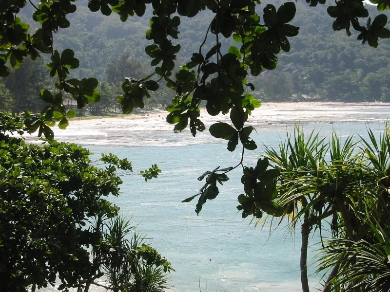A wave at Kata Noi beach, Phuket. The photographer calls it the second wave. 26 December 2004.