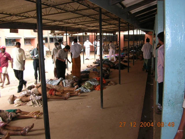 People killed by the tsunami at Matara, Sri Lanka. File metadata gives 27 December 2004.