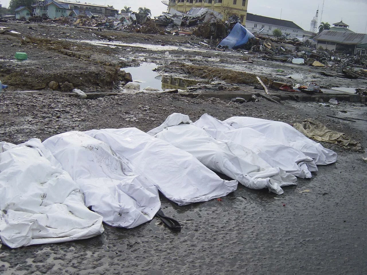 Covered bodies among debris in Aceh, Sumatra. 1 January 2005.