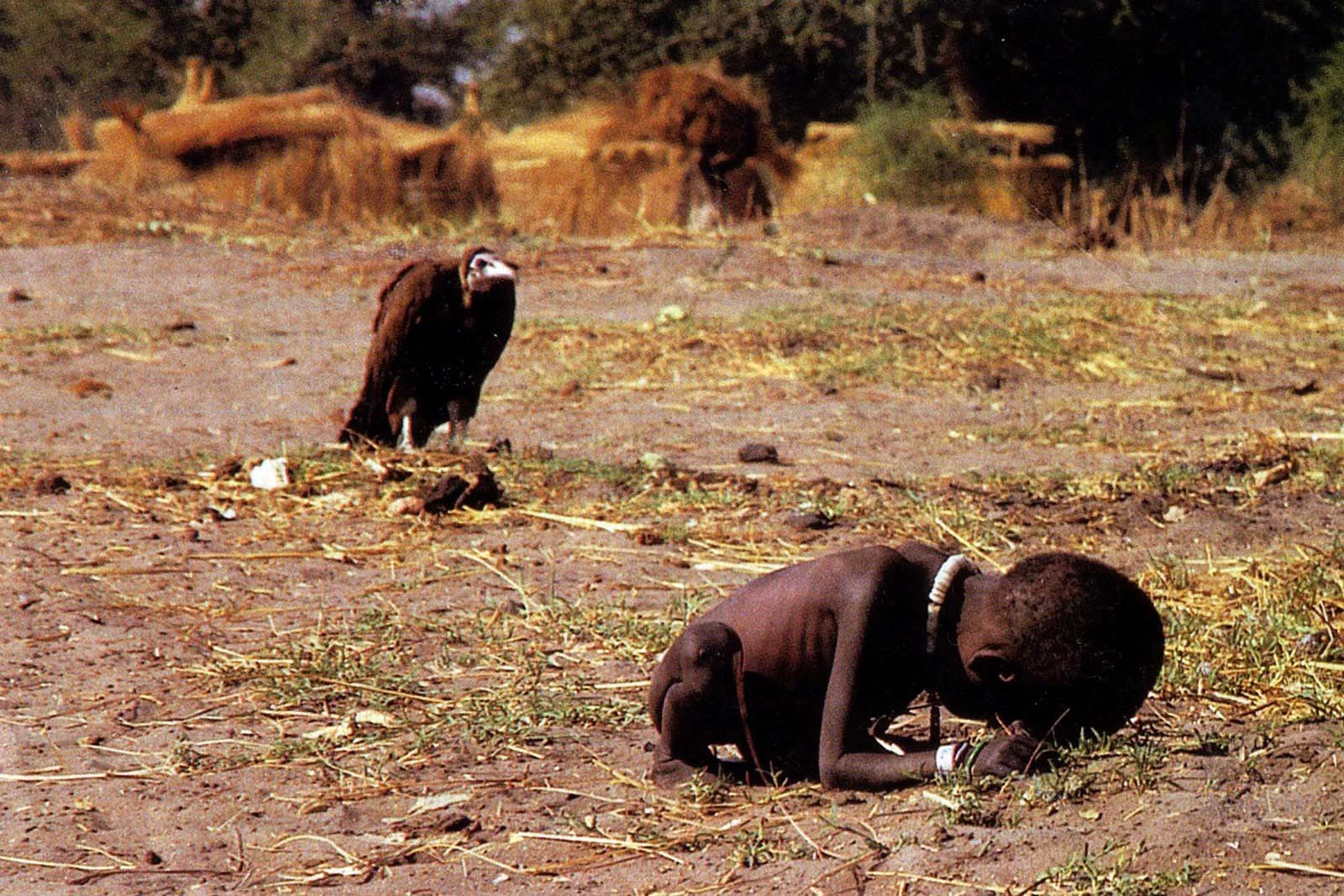 An emaciated child lies on the ground at Ayod, with a vulture standing several metres behind. Photograph by Kevin Carter / Sygma, March 1993.